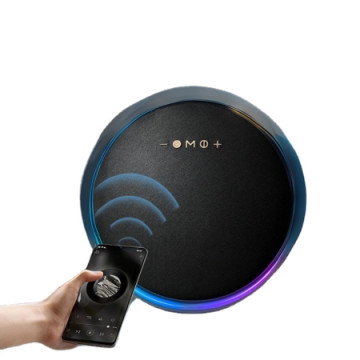 BORG Zvučnik LP19 Bluetooth RGB Black | Giga Informatika