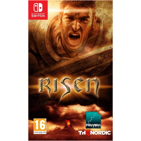 Risen  / Switch | Giga Informatika