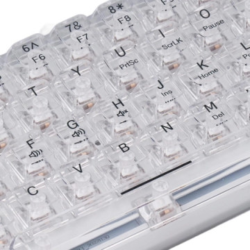 JITE Gaming Mehanička Tastatura G-61 RGB Wireless Transparent