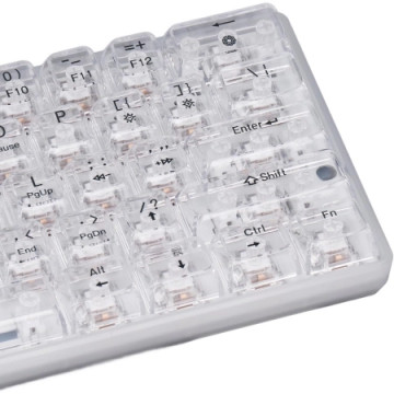 JITE Gaming Mehanička Tastatura G-61 RGB Wireless Transparent