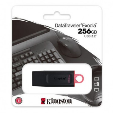 Kingston USB Memorija Exodia 256GB USB 3.2 | Giga Informatika