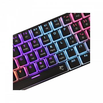 White Shark TASTATURA GK-2202 ASHIKO-2 Crna / US / BLUE.SW.