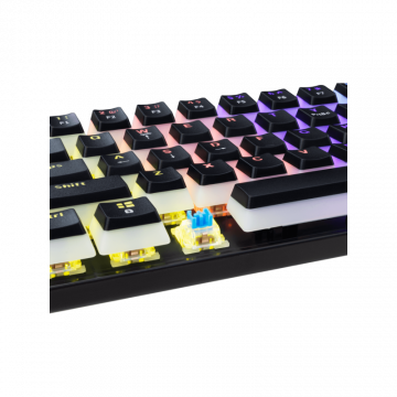 White Shark TASTATURA GK-2202 ASHIKO-2 Crna / US / BLUE.SW.