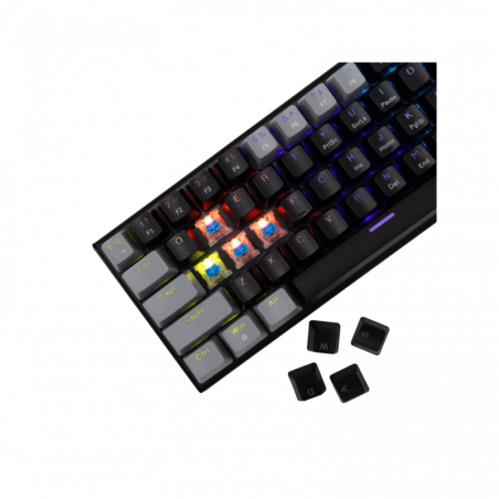 White Shark TASTATURA GK-002121V2 WAKIZASHI-2 / Crno-siva US-BLUE SW.