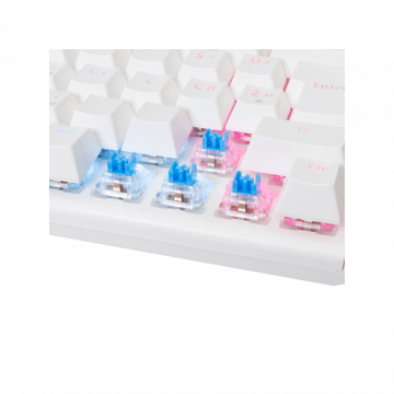 White Shark TASTATURA GK-002222V2 WAKIZASHI-2 / Bijela HR-BLUE SW.