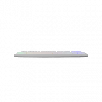 Baracuda TASTATURA BGK-01114 KRILL Bijela / US