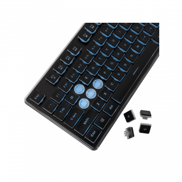 White Shark Tastatura GK-003141 TACHI-Crna-US