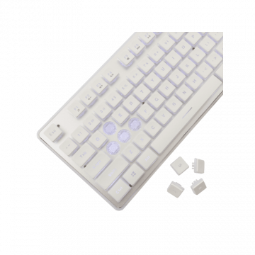 White Shark Tastatura GK-003241 TACHI-Bijela-US