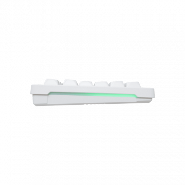 Baracuda TASTATURA+MIŠ BGC-012 ORCA Bijela - Combo