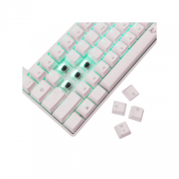 White Shark TASTATURA GK-004231 SHINOBI-2 Bijela- Mehanicka/US - BROWN.SW