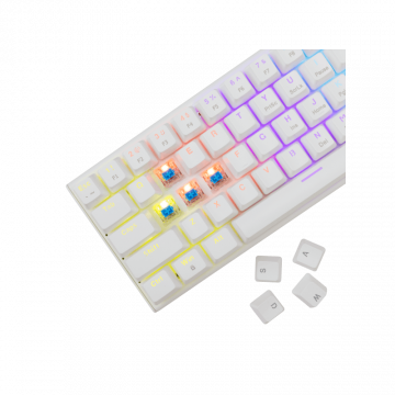 White Shark TASTATURA GK-002221V2 WAKIZASHI-2 / Bijela US-BLUE.SW