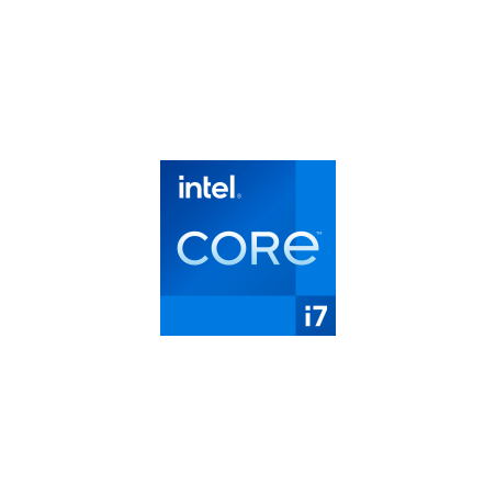 INTEL 