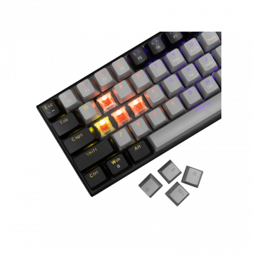 White Shark Tastatura GK-002711V2 WAKIZASHI-2 / Sivo-Crna US-RED