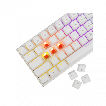 White Shark Tastatura GK-002211V2 WAKIZASHI-2 / Bijela US-RED.SW