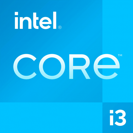 INTEL 