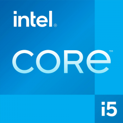 INTEL 
