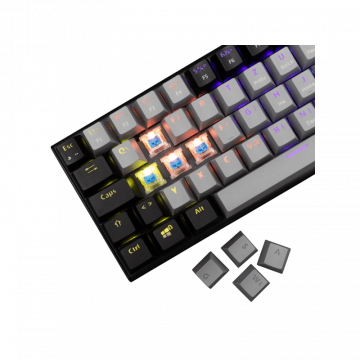 White Shark TASTATURA GK-002722V2 WAKIZASHI-2 / Sivo-crna HR-BLUE SW.