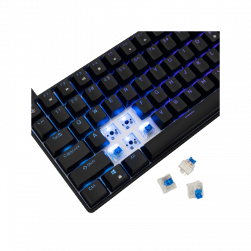 White Shark TASTATURA GK-005122 HAMACHI Mehanicka RGB/ HR - BLUE SW.