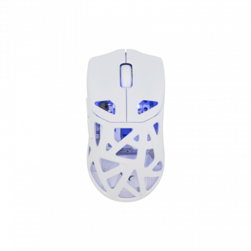 White Shark MIŠ WGM-5019 DAGONET / 24.000 DPI - Bijeli /Wireless