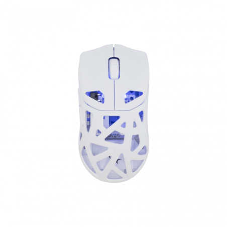 White Shark MIŠ WGM-5019 DAGONET / 24.000 DPI - Bijeli /Wireless