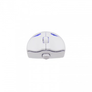 White Shark MIŠ WGM-5019 DAGONET / 24.000 DPI - Bijeli /Wireless