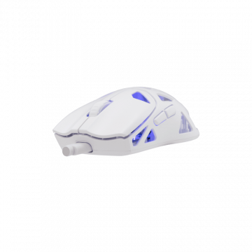 White Shark MIŠ WGM-5019 DAGONET / 24.000 DPI - Bijeli /Wireless