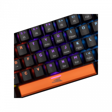 Baracuda TASTATURA BGK-03111 DOLPHIN Crna - Mehanicka US-RED SW.