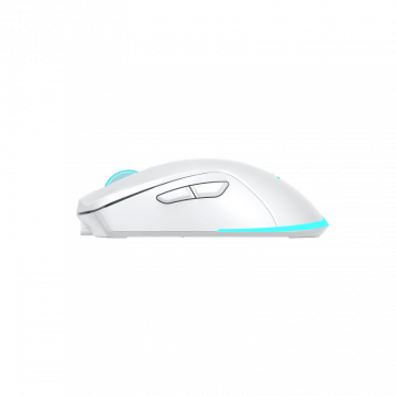 Baracuda MIŠ BGM-122 TURTLE BIJELI / 3200 dpi/ Wireless