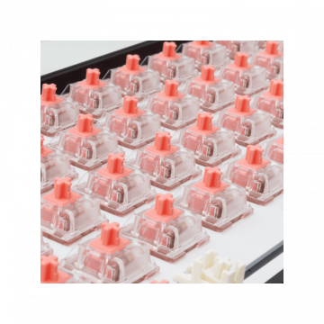 WHITE SHARK PL MEHANIČKI PREKIDAČ ZA TASTATURU VENOM ROSE-25 / 25 KOM