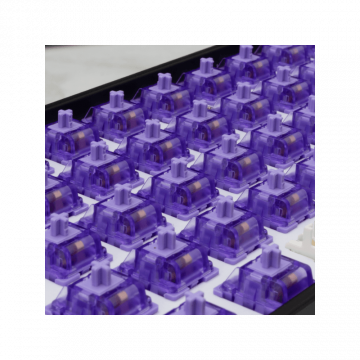 WHITE SHARK MEHANIČKI PREKIDAČ ZA TASTATURU PURPLEPULSE-65 / 65 KOM