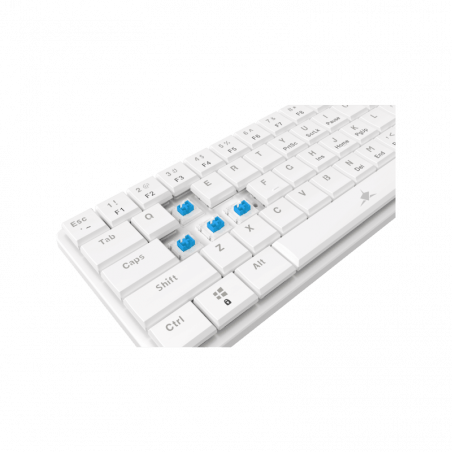White Shark TASTATURA GK-006221 NAGAMAKI Bijela-Mehanicka/US-BLUE SW.