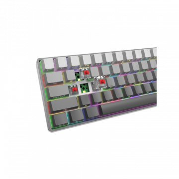 White Shark TASTATURA GK-007711 NUNCHAKU Siva Gradient - Mehanička / US - RED SW.
