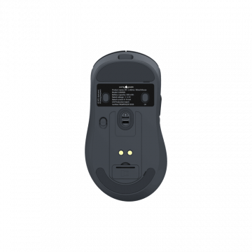 White Shark MIŠ WGM-5023 GAWAIN / 12.000 DPI - Crni / Wireless