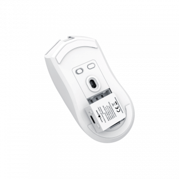 White Shark MIŠ WGM-5022 LUCAN / 12.000 DPI - Bijeli / Wireless