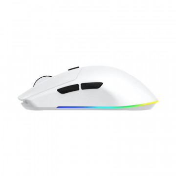 White Shark MIŠ WGM-5020 CADOR / 10.000 DPI - Bijeli / Wireless