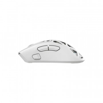 White Shark MIŠ WGM-5025 MORIEN / 12.000DPI- Bijeli / Wireless