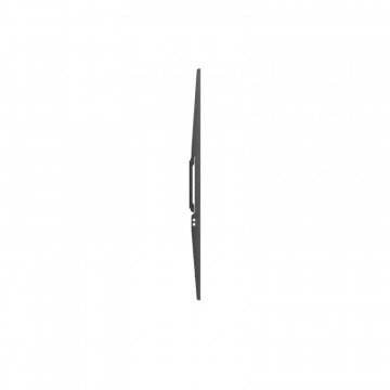 SBOX STALAK Budget BL-3869F (50-100"/75kg/900x600)