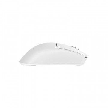 Baracuda MIŠ BGM-132 MORAY Bijeli / 3200 dpi/ Wireless