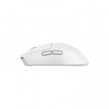 Baracuda MIŠ BGM-132 MORAY Bijeli / 3200 dpi/ Wireless
