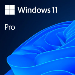 Microsoft Windows 11 Professional 64-bit English OEM DVD softver