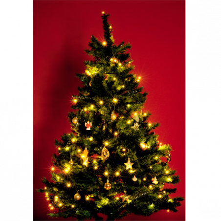 home Dekorativna LED rasvjeta - KI 50 LED/WW