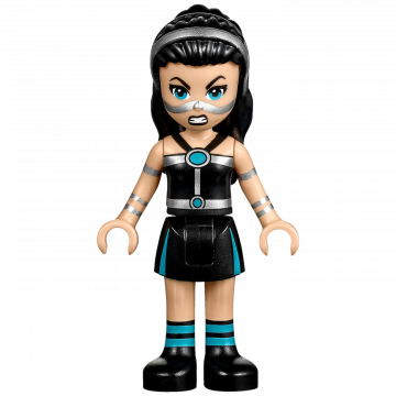 Lego Spremnik Lashina, LEGO DC Super Hero Girls