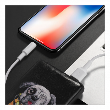hoco. USB kabl za iPhone, Lightning kabl, 1 met., 2 A, bijela - X25 Soarer Lightning, White
