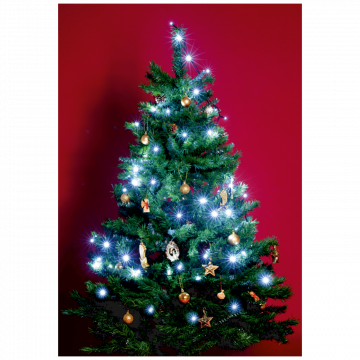 home Dekorativna LED rasvjeta - KI 50C LED/WH