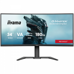 IIYAMA 