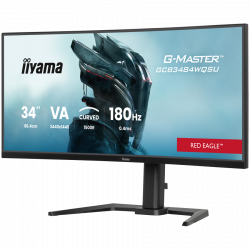 IIYAMA 