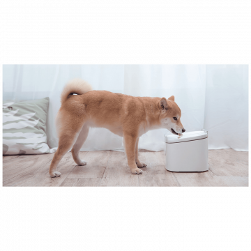 Xiaomi Fontana za kućne ljubimce - Smart Pet Fountain