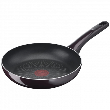 Tefal Tava, 24 cm, Resist Intense - D5220483