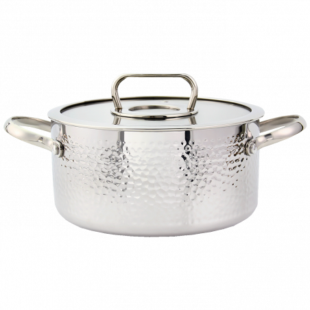 Zilan Lonac sa staklenim poklopcem, 20 cm, troslojno posuđe - ZLN1313