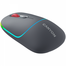 CANYON MW-22 2in1 Bluetooth i bežični miš, tamno sivi, optički, 1600 dpi